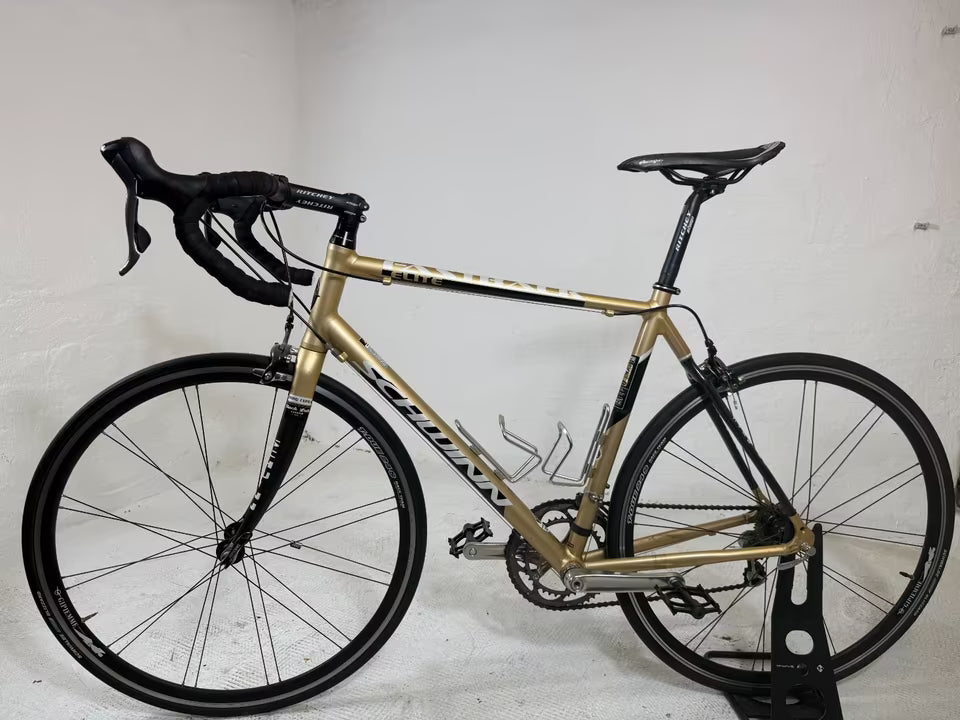 SCHWINN FASTBACK ELITE