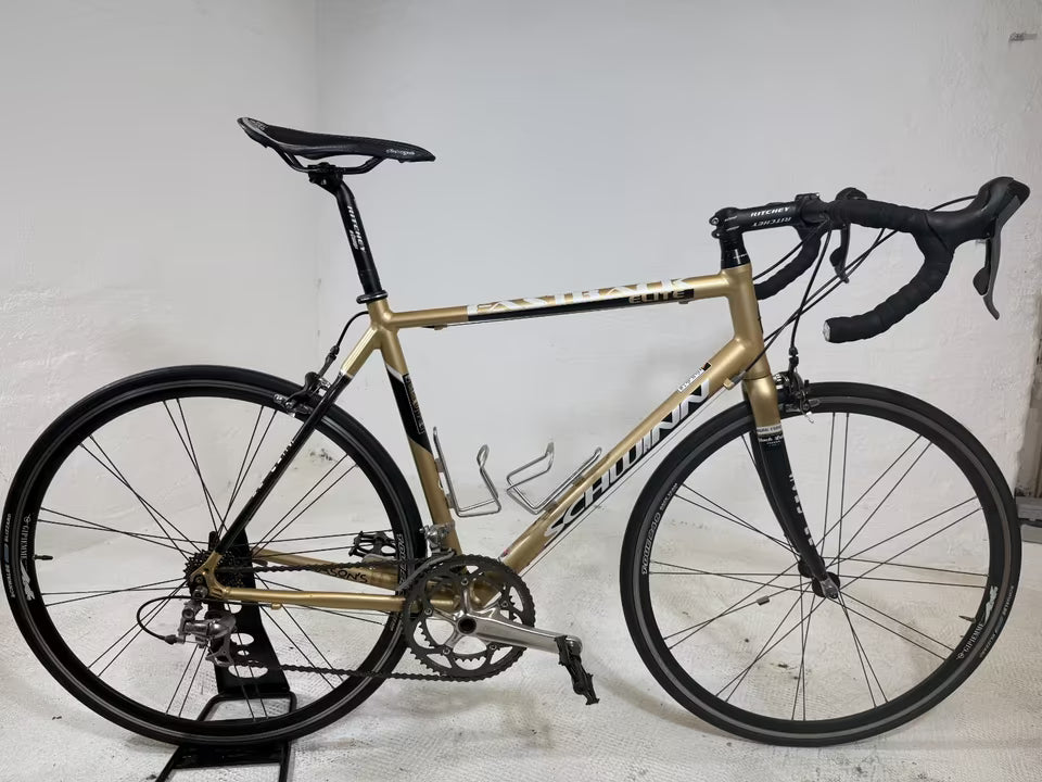 SCHWINN FASTBACK ELITE