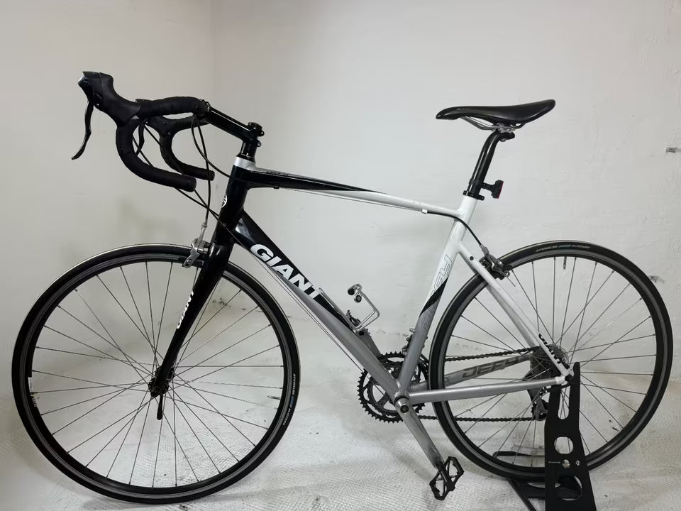 GIANT DEFY