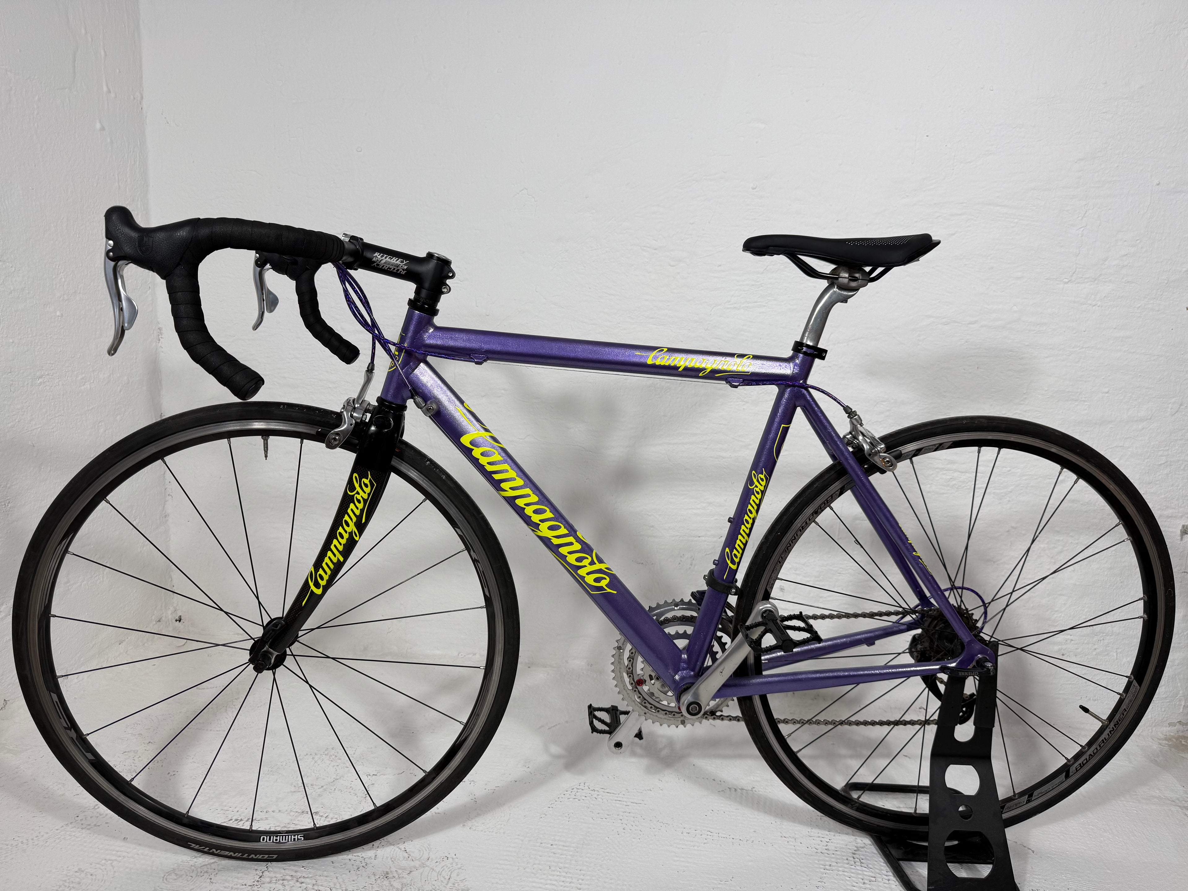 BASSO Violet