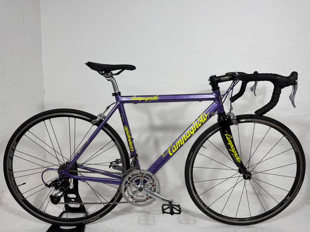 BASSO Violet