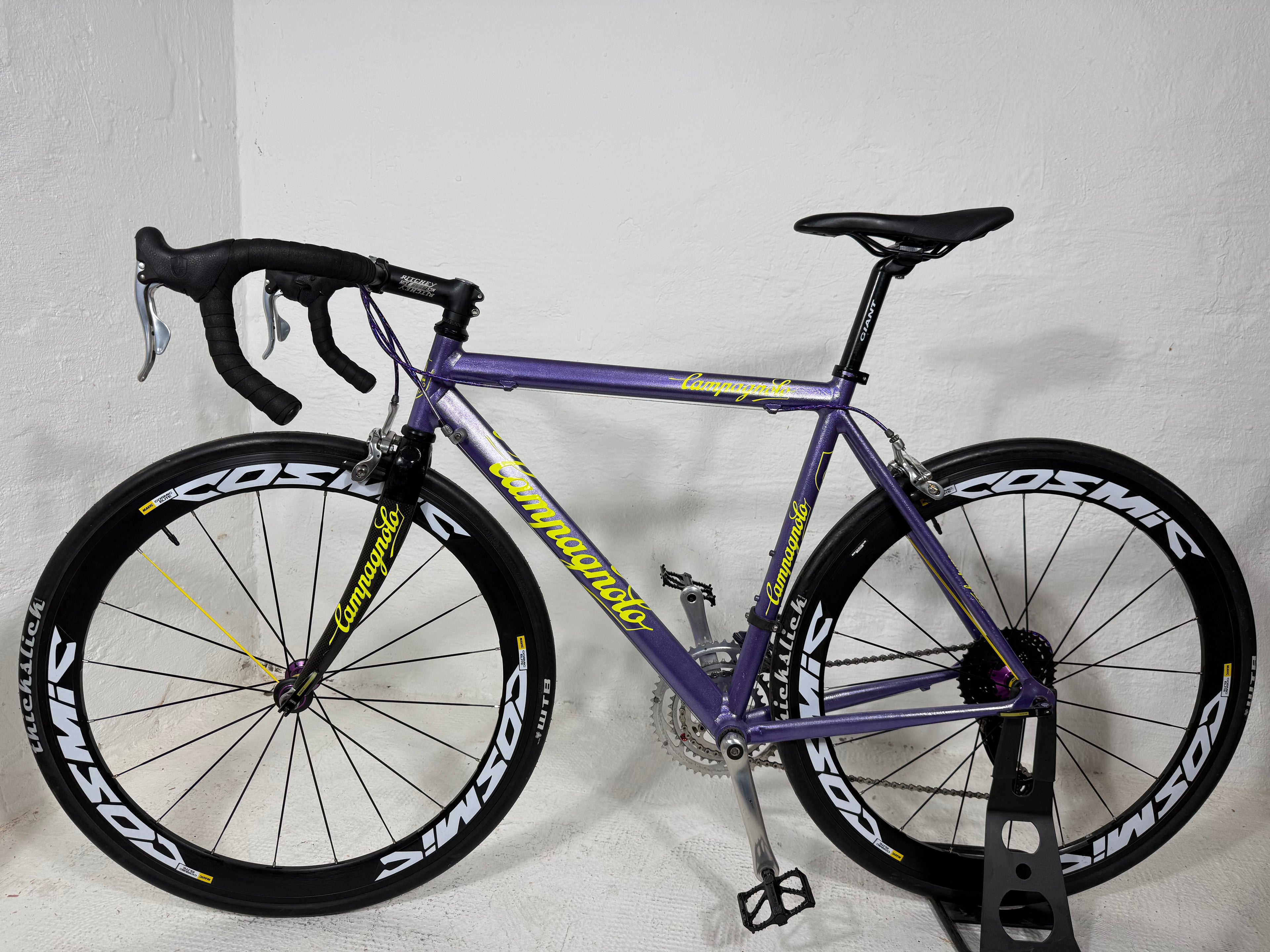 BASSO Violet