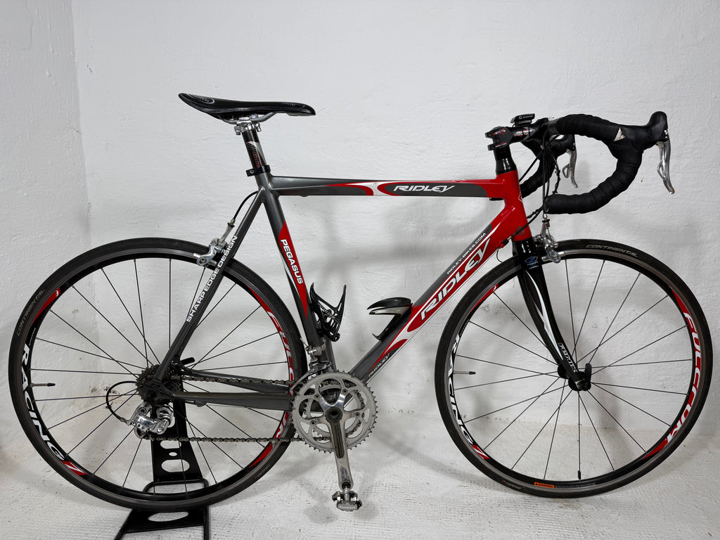 RIDLEY PEGASUS