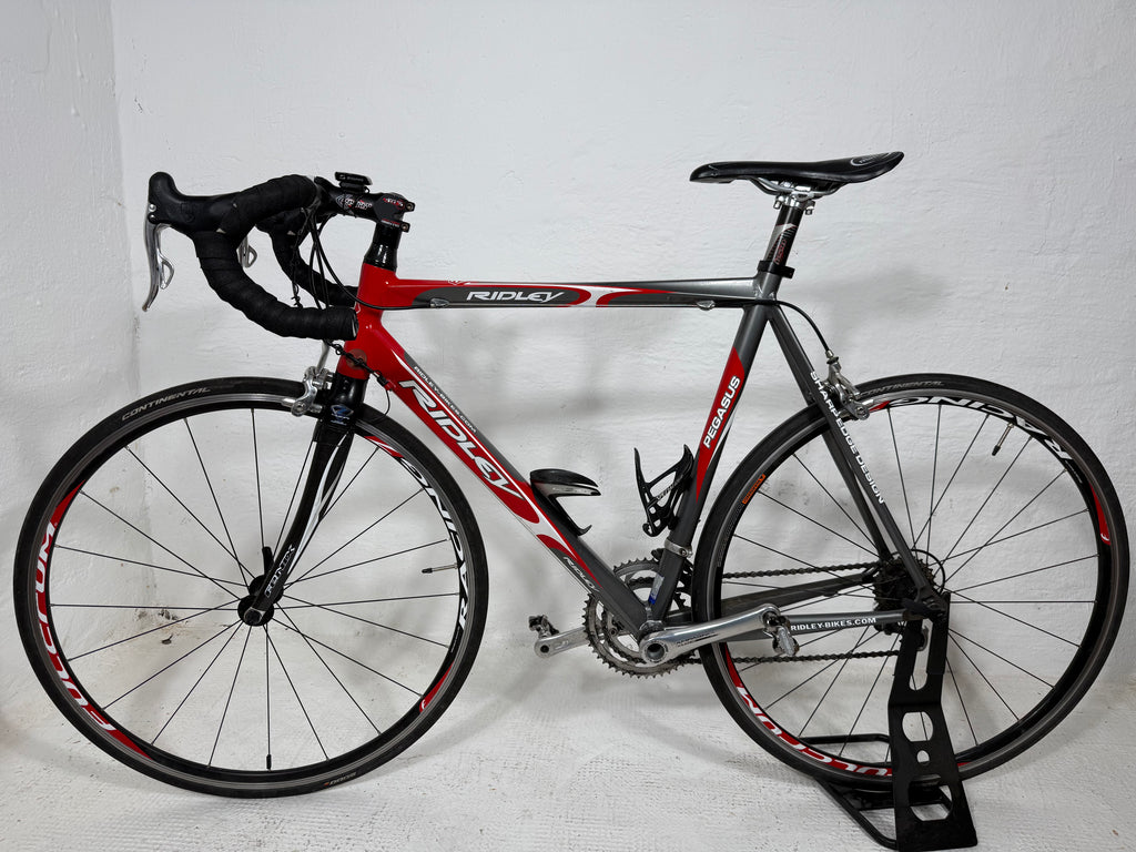 RIDLEY PEGASUS