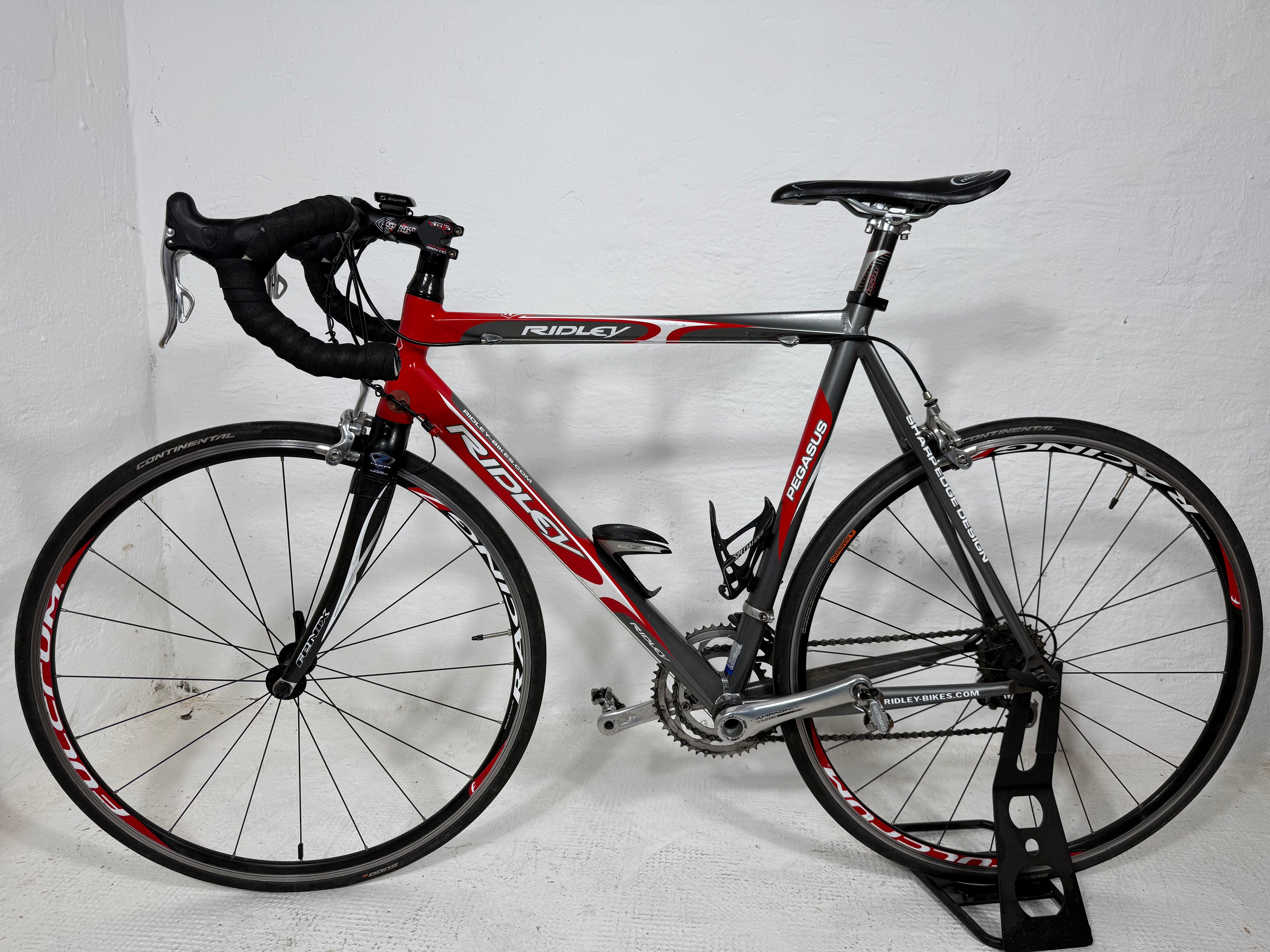 RIDLEY PEGASUS