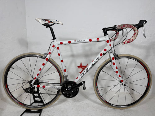 BULLS White