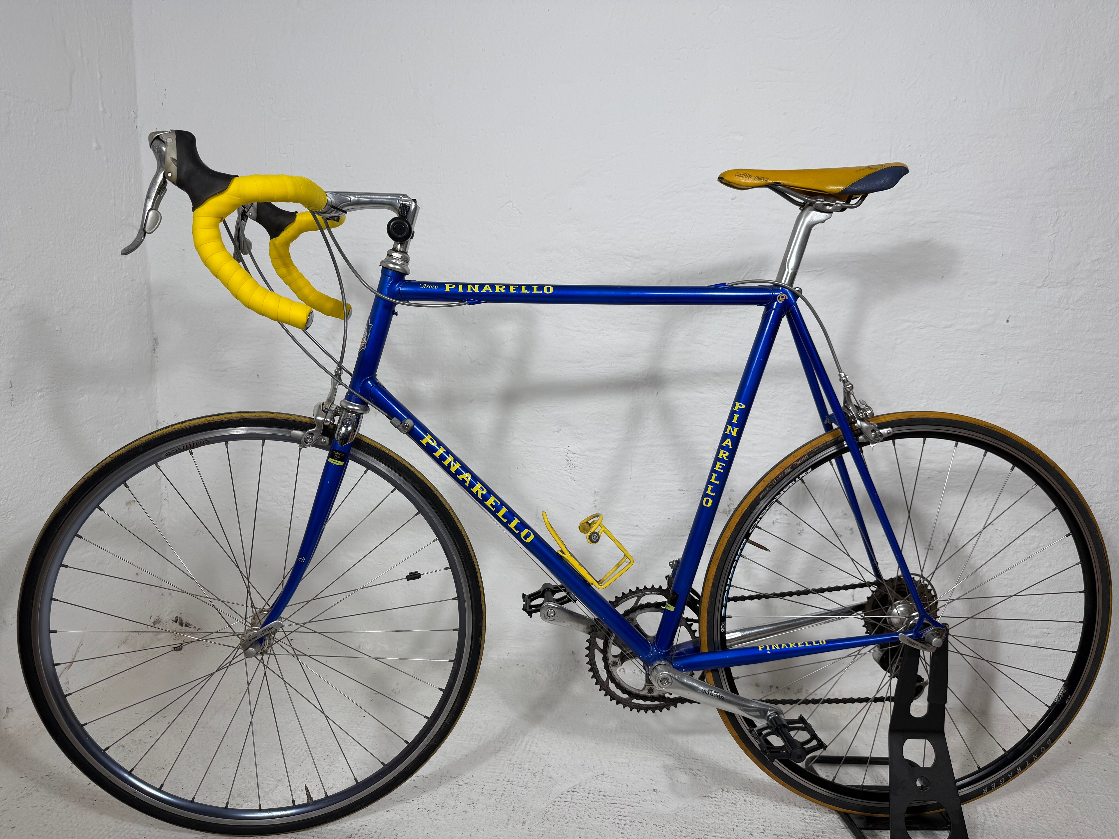 PINARELLO ASOLO