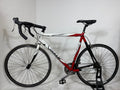 BULLS Sora